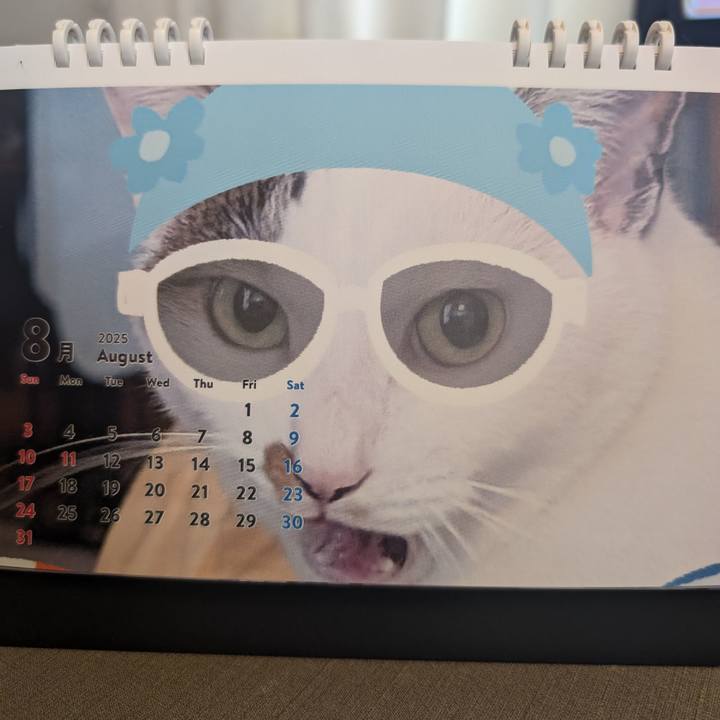 79102fda 531f 44be ab89 c98af2b69eca 1754019954433