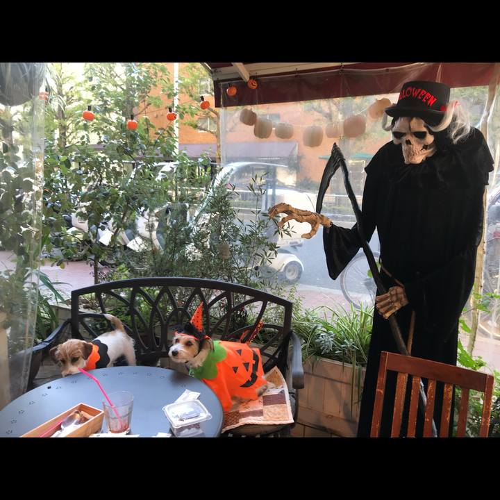 791037d5 6c51 4a5c 8b4d 828075e1e440 1761825989982