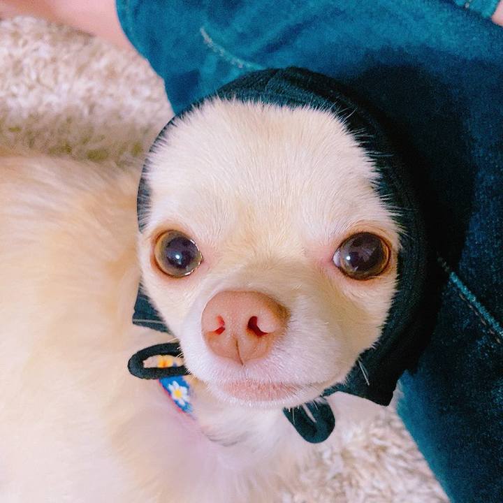 79103e9f 5985 43f7 97e3 2571d724a4cf 1633139154335