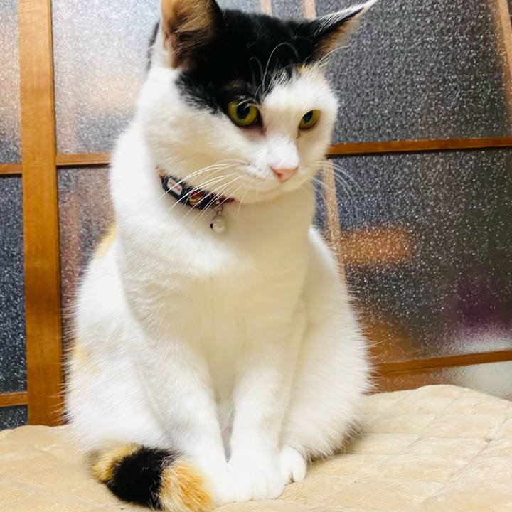 79104113 4eb1 4a23 9cbe 8c196851f439 1652734895395