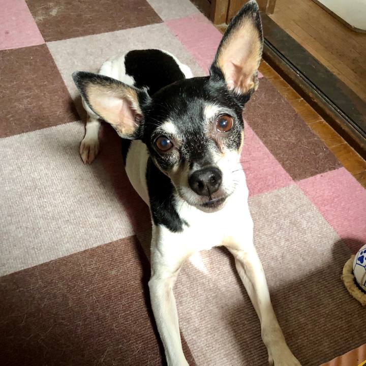 791043f4 985b 4edd b68b 259f2d495329 1557623619480