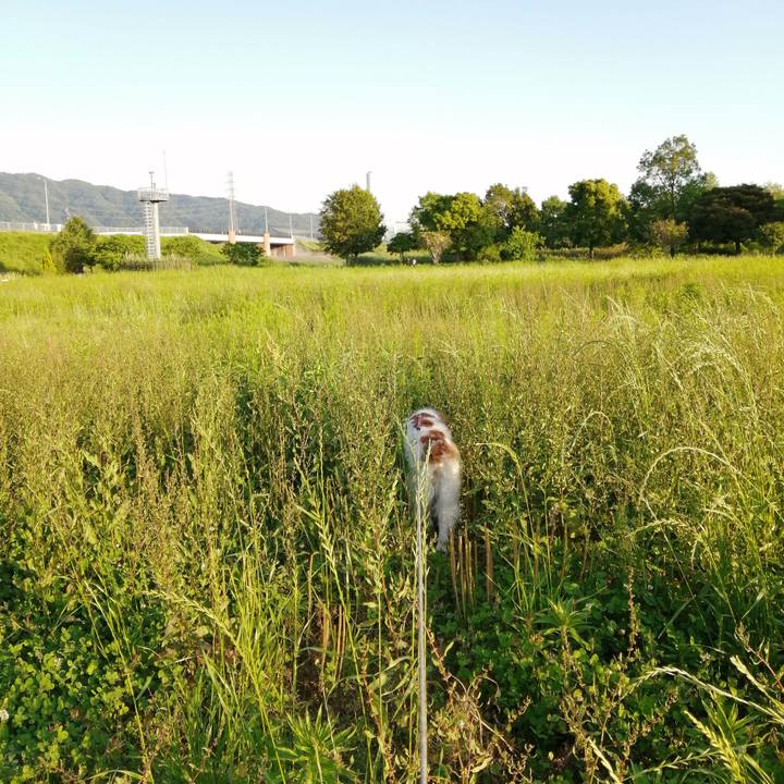 7910674e 6f7d 4bd6 ae9d d79509727e87 1622461380398