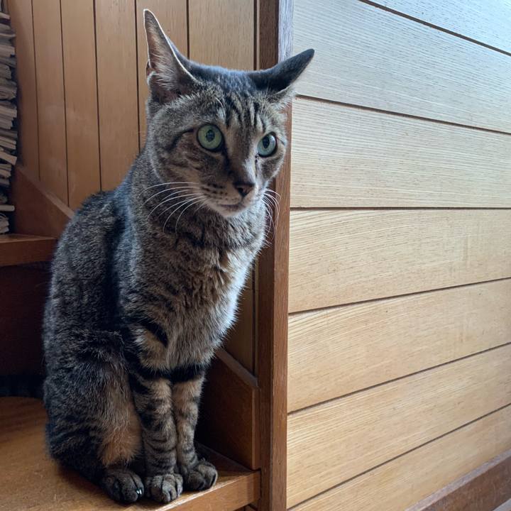 79107377 1a2f 4151 b486 b8d653de51f4 1591406738917