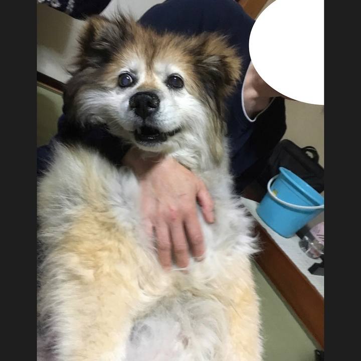 79108aaf 2572 4156 ab23 95a5a5c734d2 1565521631443