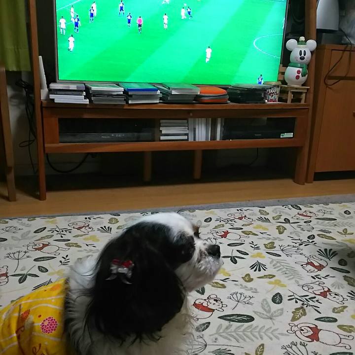 791090c3 1778 45a0 bf31 6b7d74cf9b1c 1549036531901