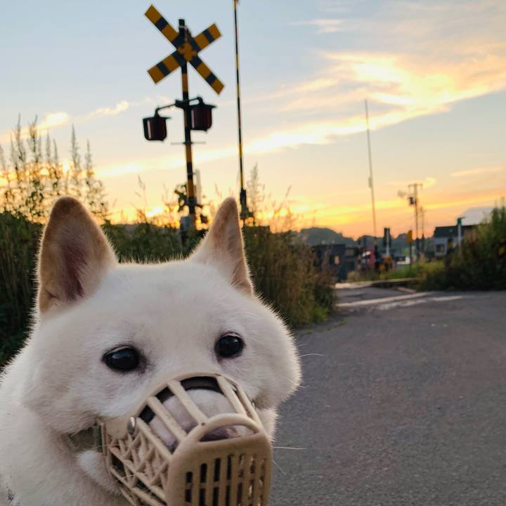 7910b147 3686 4766 857a 155e7d5ef595 1627674630620