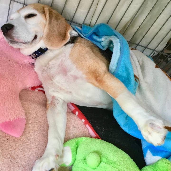 7910be9c a10c 4b21 8ea9 21c0cd619cb4 1551756852254