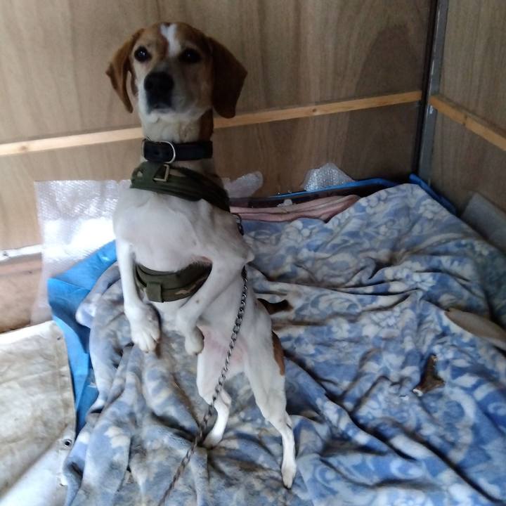 7910c3c9 d966 46f2 ba7a 3e669e38a8d6 1683019587918