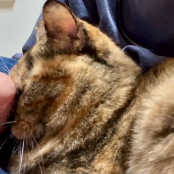 7910dba1 0d1c 4ab0 9f12 a002850e1df3 1767606491454