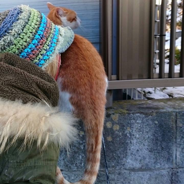 7910e101 5e40 46bd 935a 5e5f2f64c71d 1514967653484