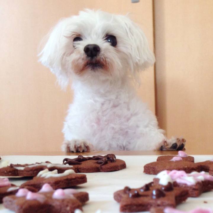 7910e1b3 87e2 4fa3 97b5 daa3f8f578ca 1541231326308