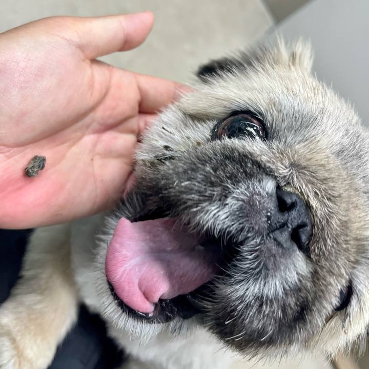 7910edf1 8785 45e4 83e2 f896661d6f98 1761876202794