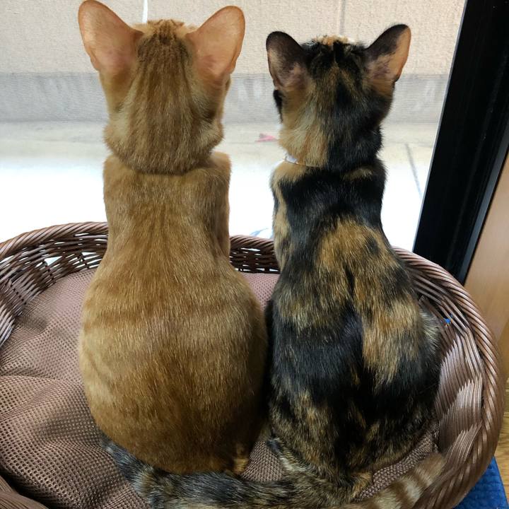 791101a9 2b4f 4a5c 8bd1 fd0961ccba3a 1565746992335