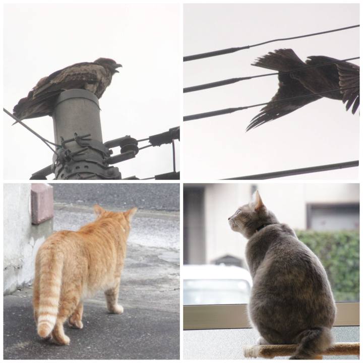 791124d4 e308 461e 8c8f a4b6855f518e 1580184817377