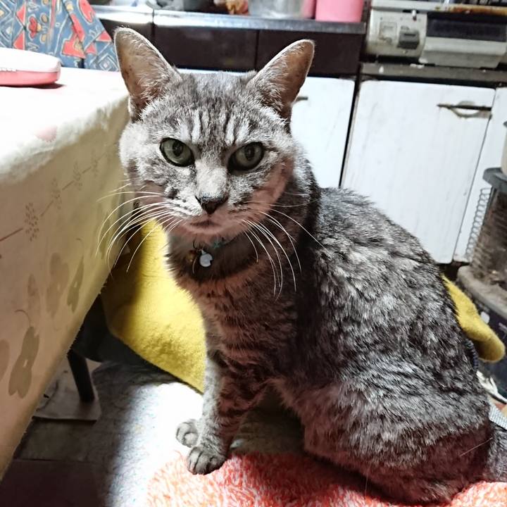 7911360f 3c3e 4ad0 aa9d a88451a227af 1573765595322