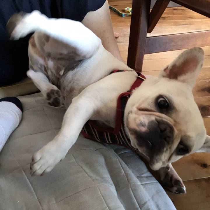 791161e9 f723 421b 9caf 0100e39bac9f 1648521404700