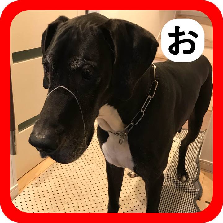 7911854c 210d 4bd8 9ea1 22e0ab77979c 1514792589175