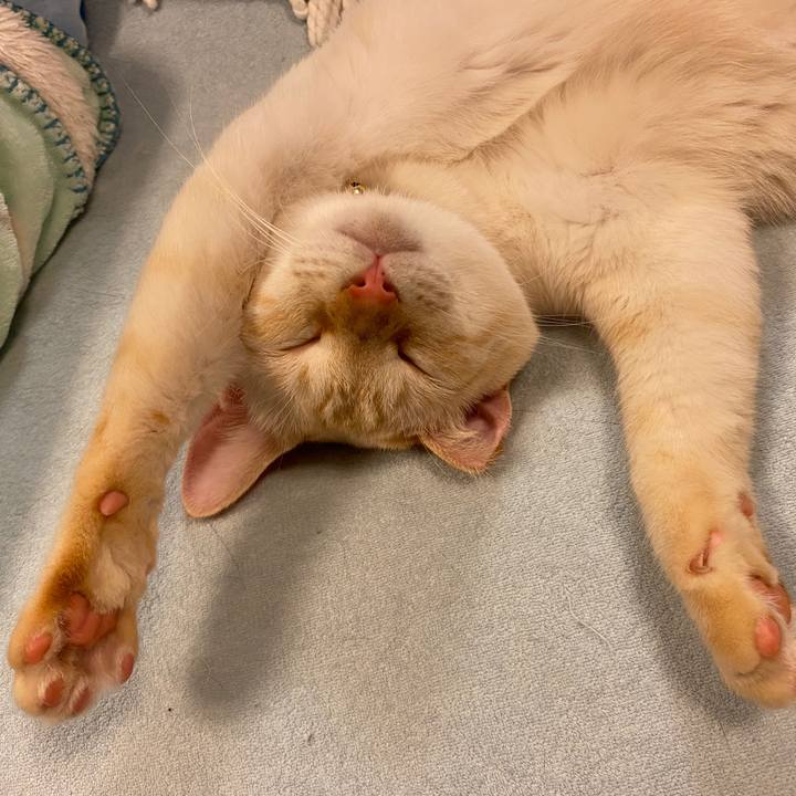 79120773 e61f 47c9 bfa8 585d2a216368 1625745837451