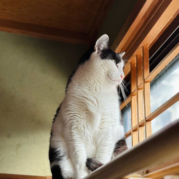 79122d00 18f8 4bac a87f 3fcc0dbda7c9 1673144532395