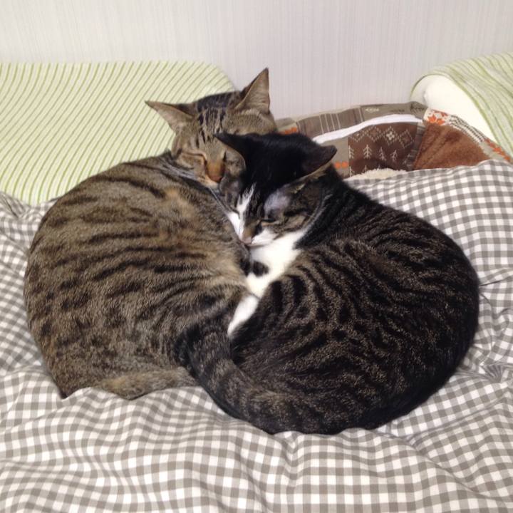 79126ce2 ef41 4ee1 a7ff cea52f3f8595 1513440904426