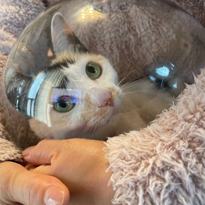 79128b0d 3c14 4703 b0cc 2e3c68ba657d 1746923830270