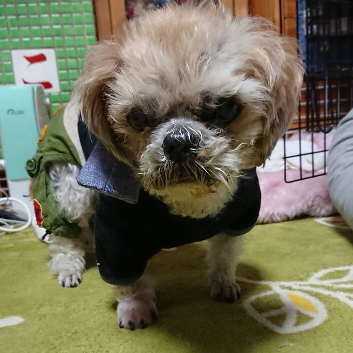 7912a5d0 ff3f 4357 bbfd 655478097b44 1540458610210