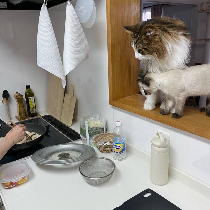 79133da1 2c52 4c7a 9932 3e114773c38c 1690968627720