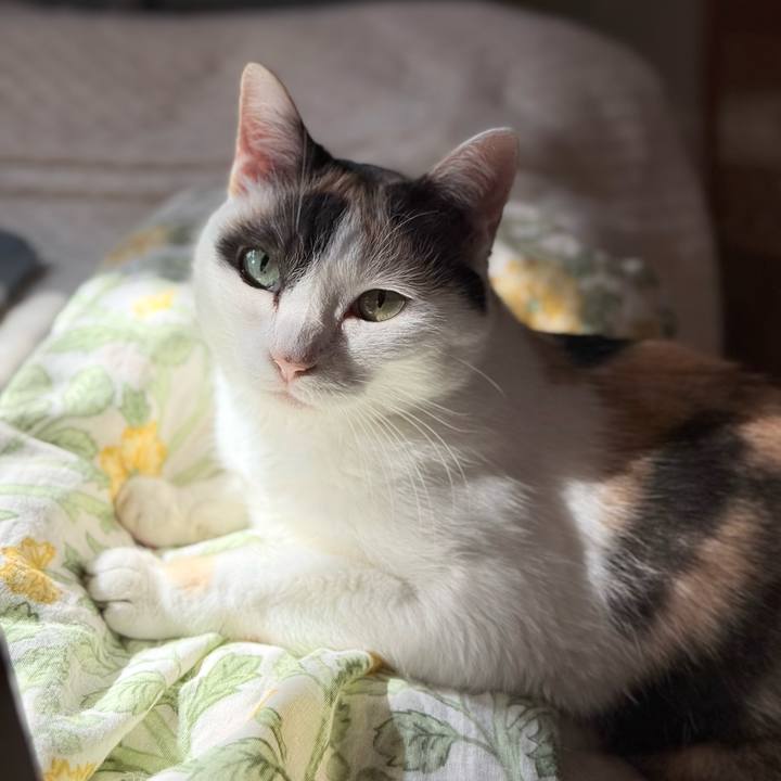 7913775d 36c4 4de4 a8a8 98c0e7b2dcb5 1756254874711