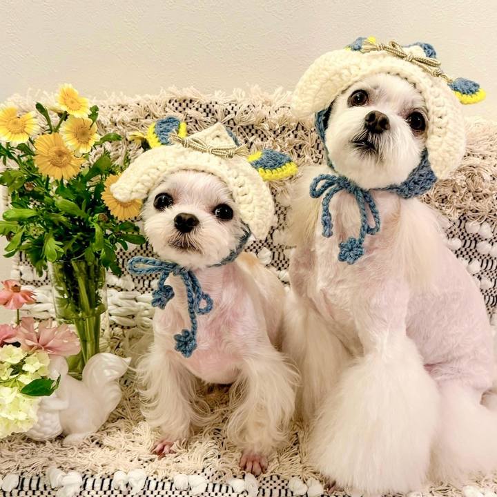 7913a095 221a 4618 bd53 3320f6696e88 1714115030486