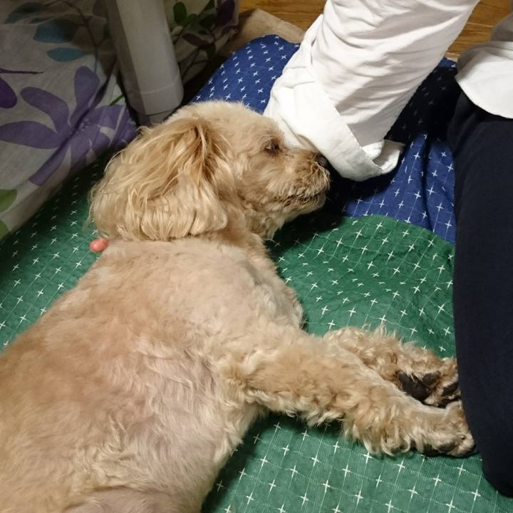 79141def 9ef3 40ce 8269 404f6d841f86 1531663913262