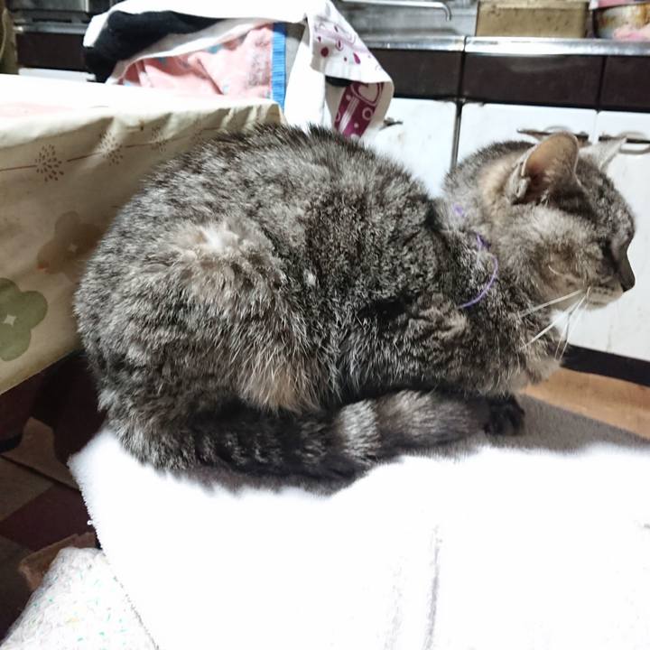 79145748 c25d 44f1 99c3 60f612cf3f8f 1585252782216