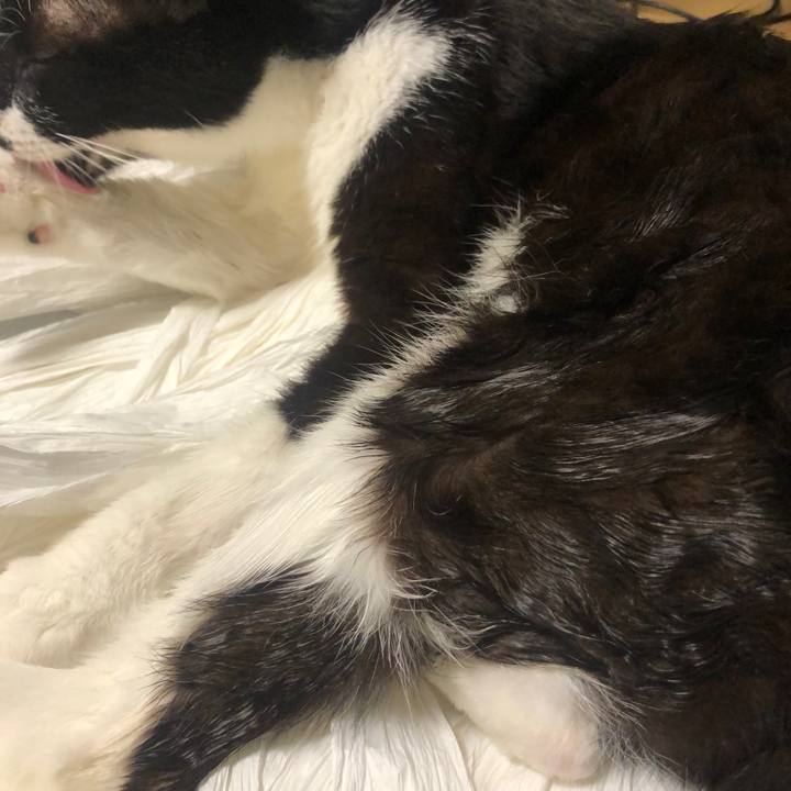 7914632e 4965 421a 8ee7 d4a6ee684e06 1594477357336