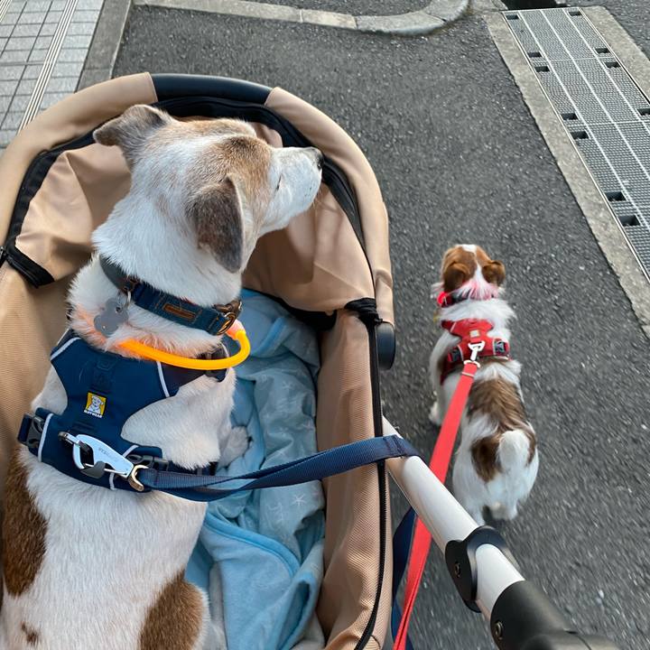 79146361 2620 4973 826b 7684b3db56e7 1656245020333