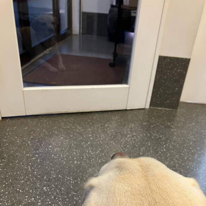 7914a2c4 3fc0 4a8c afbc 65d304e982ca 1669646008260