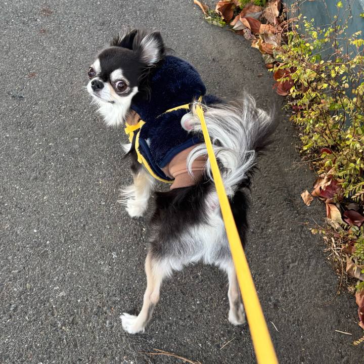 7914b20f 3bc2 4507 93c4 384412086df5 1734799033109