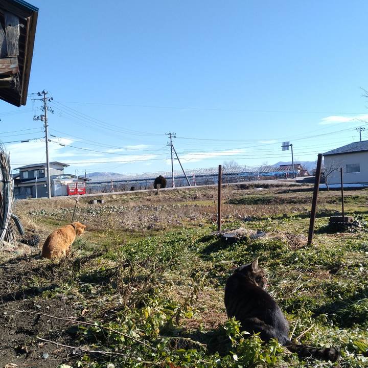 7914b731 78f9 48de 9614 69d160984dd5 1704424413824