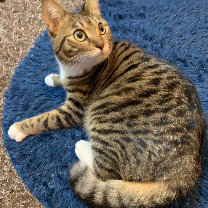 7914be14 b5aa 4653 aad5 cf491ab788d9 1550796053684