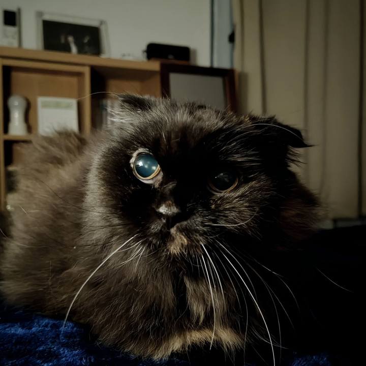 7914d7a3 f3de 49b2 a82b 76cc3136dd5c 1763630677287