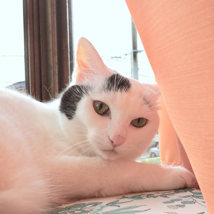 7914dde7 6298 4818 837d 8147938825fb 1567395866050