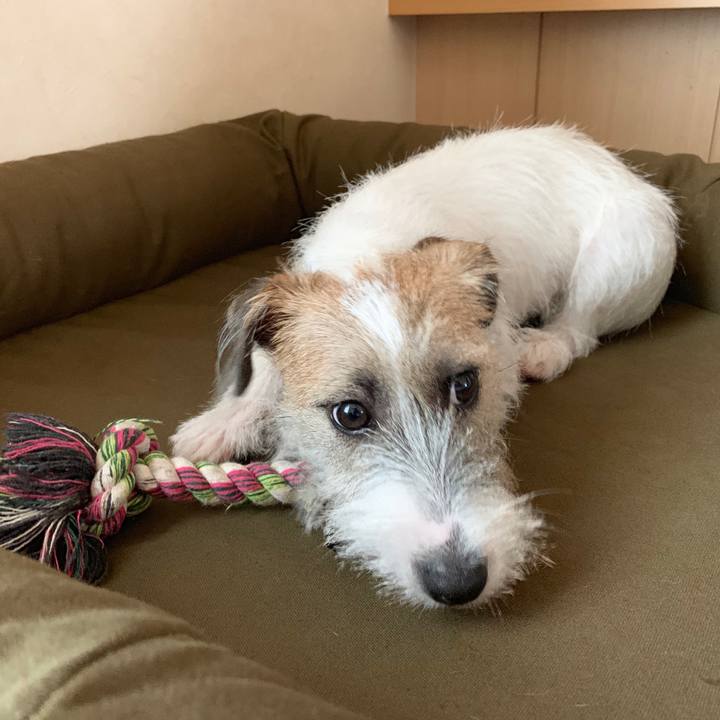 7915067f ce81 4162 b406 252310d9a288 1568073947512