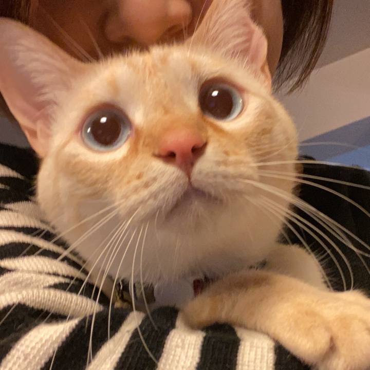 79151a20 fe05 4663 95a7 ecbf8f365d97 1647066396336