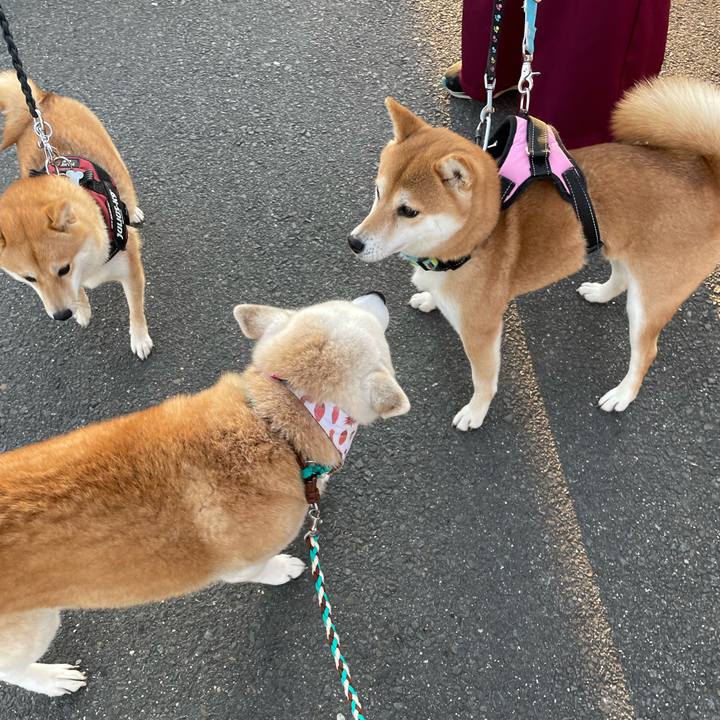 79154026 2d9b 4fb1 ba28 37083460161b 1668080996972