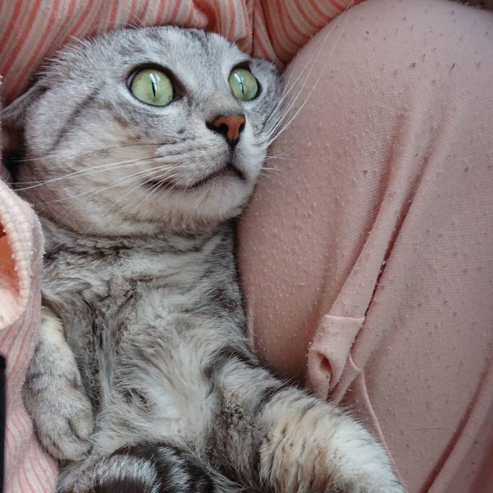 79155663 b93b 4398 a682 7025f7dbc9a7 1566443626387