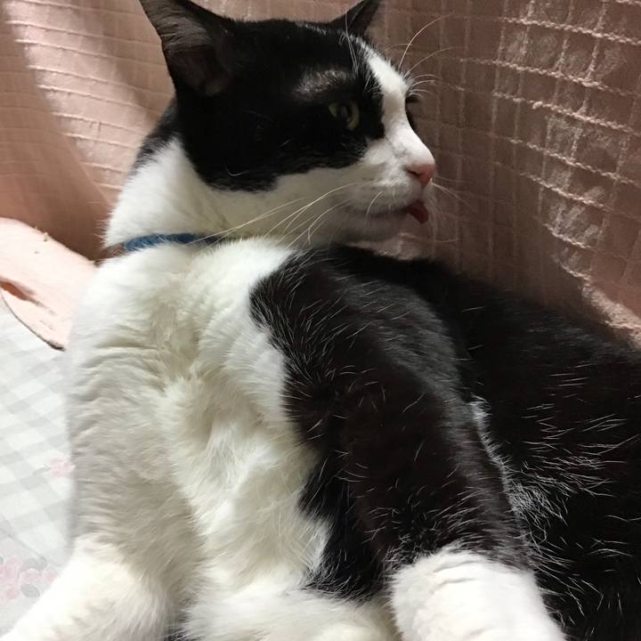 791556b1 a723 4d90 bc60 9a87ed17c158 1714218788756