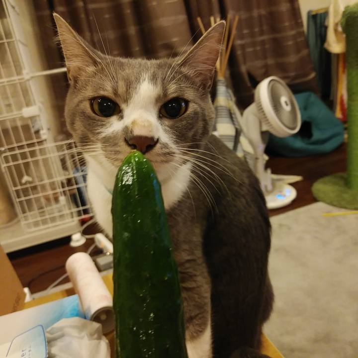 791577ac b541 4bdd 9c06 63c0d3680db4 1594558229279