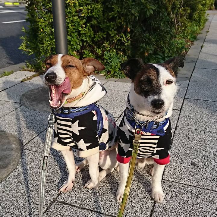 7915815b c3ed 42a5 98c6 44a2a639a6f8 1554415013919