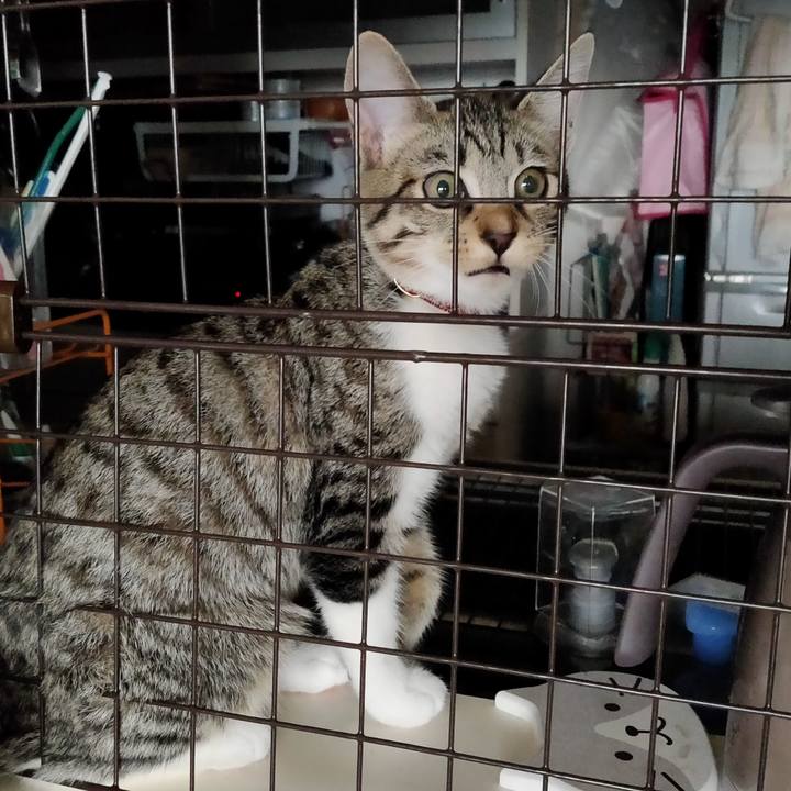 79158796 58a0 468a b736 f02fb981ce8e 1629868261311