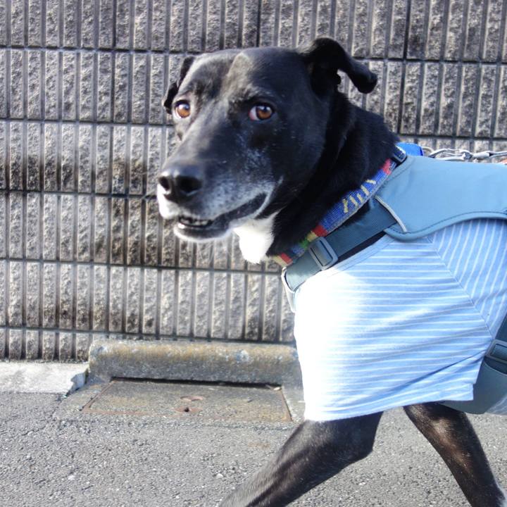 79158f49 b389 49fd bde6 36656925306b 1707439735945