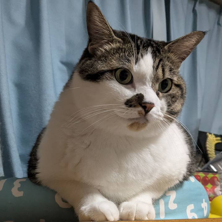 791599b1 c7e9 447a 85de ea3dbaec4bed 1756896779888