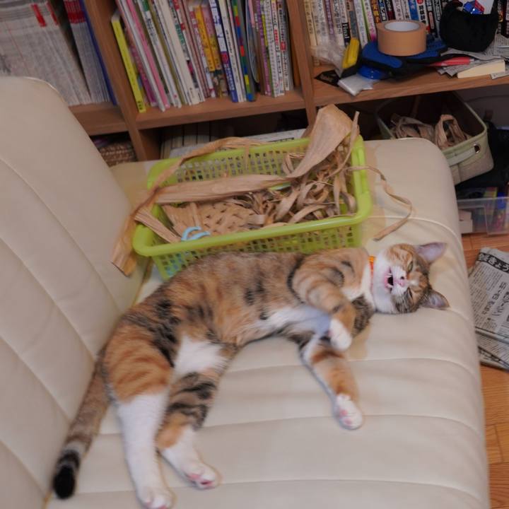 7915be90 4120 4b02 a01c 24f1edba7133 1590363514134